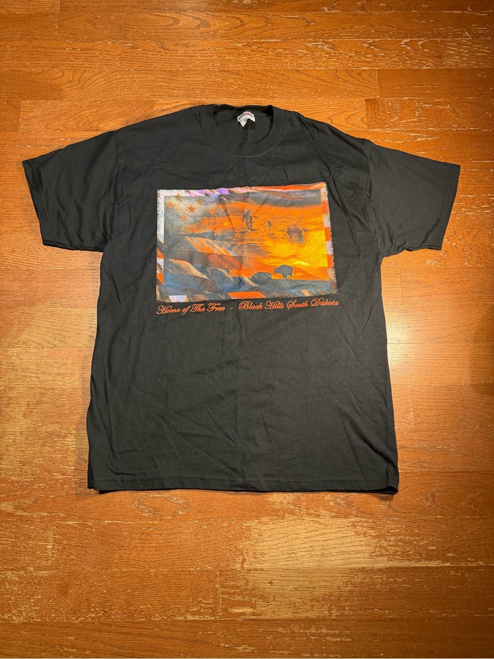 Y2K Home of the Free Black Hills South Dakota Graphic Tee